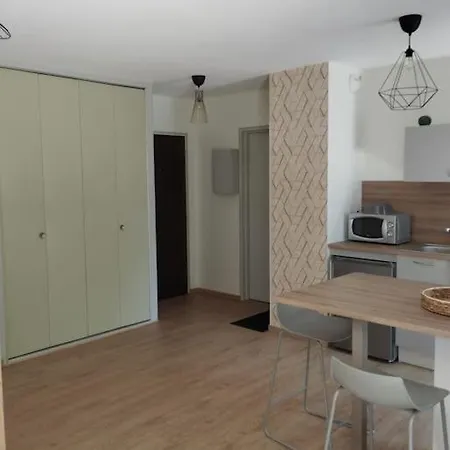 Climatise Et Spacieux Situe Pres Des Parcs Apartmán