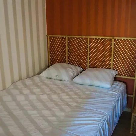 Climatise Et Spacieux Situe Pres Des Parcs Apartment
