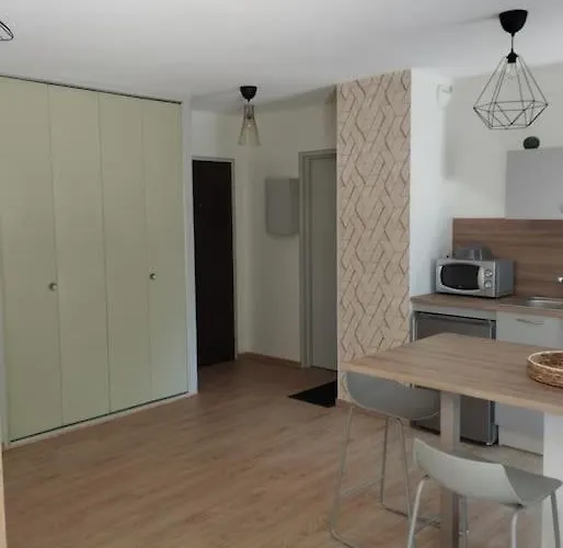 Climatise Et Spacieux Situe Pres Des Parcs شقة