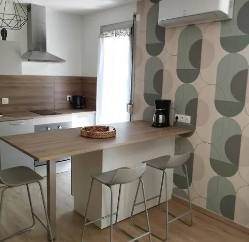 Climatise Et Spacieux Situe Pres Des Parcs * فيشي